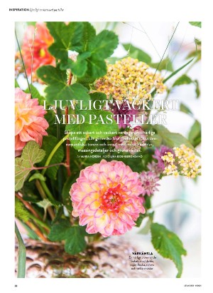 levaochbo-20210226_000_00_00_022.pdf