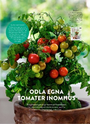 levaochbo-20210226_000_00_00_040.pdf