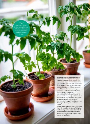 levaochbo-20210226_000_00_00_043.pdf