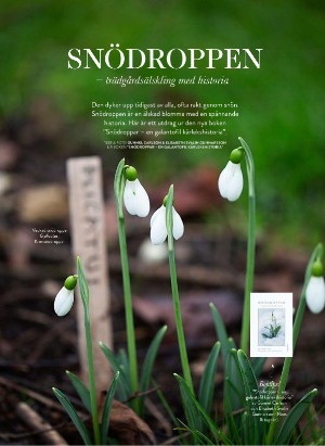 levaochbo-20210305_000_00_00_050.pdf