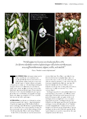 levaochbo-20210305_000_00_00_051.pdf