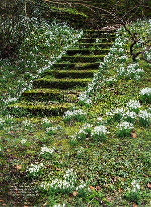 levaochbo-20210305_000_00_00_052.pdf