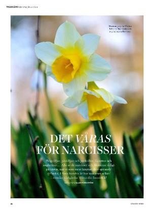 levaochbo-20210312_000_00_00_038.pdf