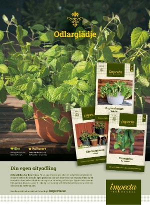 levaochbo-20210319_000_00_00_044.pdf