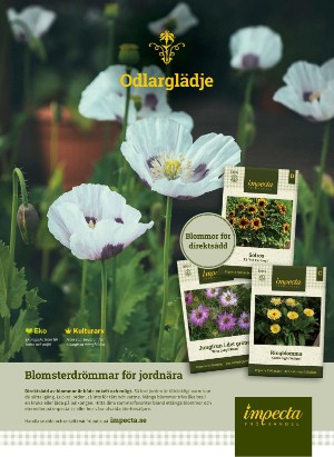 levaochbo-20210409_000_00_00_007.pdf