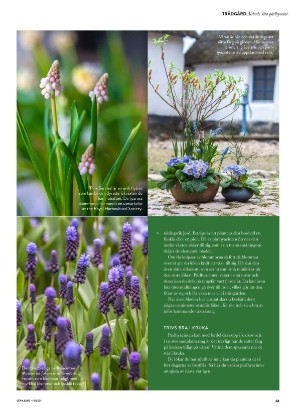 levaochbo-20210416_000_00_00_063.pdf