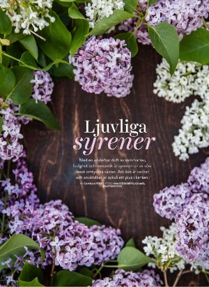 levaochbo-20210423_000_00_00_040.pdf