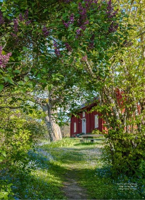 levaochbo-20210423_000_00_00_054.pdf