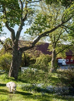 levaochbo-20210423_000_00_00_057.pdf