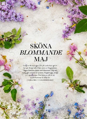 levaochbo-20210430_000_00_00_048.pdf