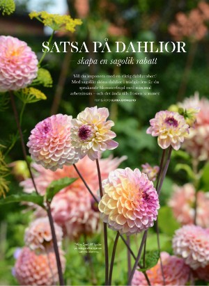 levaochbo-20210430_000_00_00_064.pdf