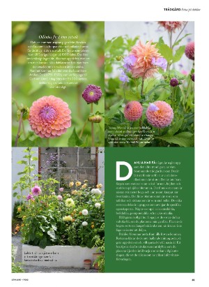 levaochbo-20210430_000_00_00_065.pdf