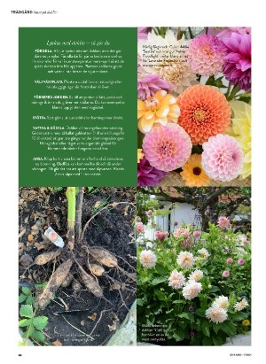 levaochbo-20210430_000_00_00_066.pdf