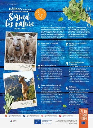 levaochbo-20210430_000_00_00_072.pdf