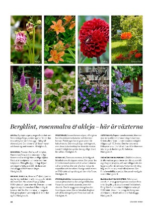 levaochbo-20210507_000_00_00_044.pdf