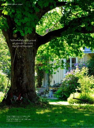 levaochbo-20210514_000_00_00_056.pdf