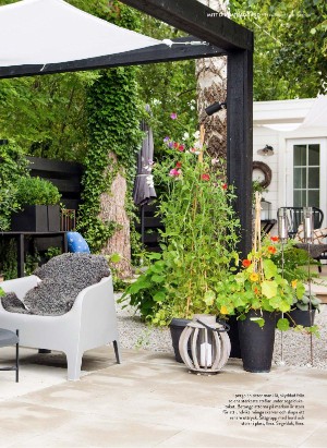 levaochbo-20210528_000_00_00_039.pdf