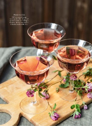 levaochbo-20210604_000_00_00_042.pdf