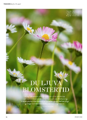 levaochbo-20210618_000_00_00_054.pdf