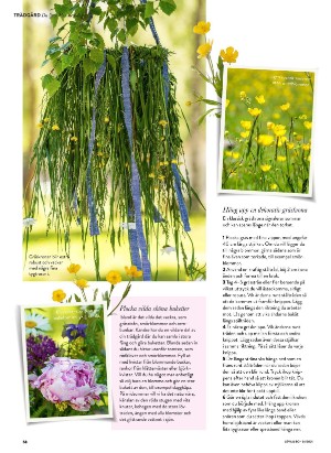 levaochbo-20210618_000_00_00_058.pdf