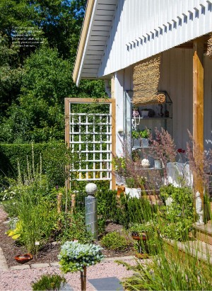 levaochbo-20210618_000_00_00_063.pdf