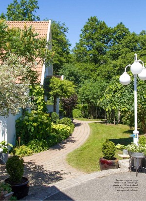 levaochbo-20210618_000_00_00_064.pdf