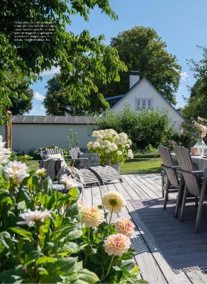 levaochbo-20210625_000_00_00_048.pdf