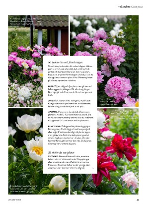 levaochbo-20210702_000_00_00_049.pdf