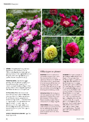 levaochbo-20210702_000_00_00_050.pdf