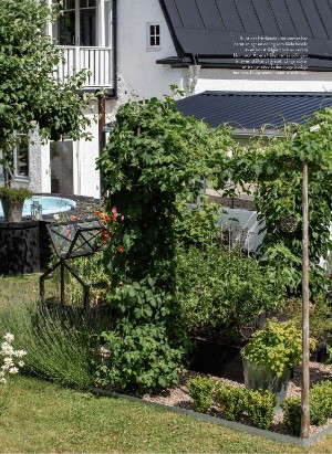 levaochbo-20210702_000_00_00_059.pdf