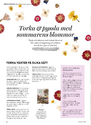 levaochbo-20210709_000_00_00_062.pdf