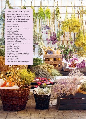 levaochbo-20210709_000_00_00_063.pdf