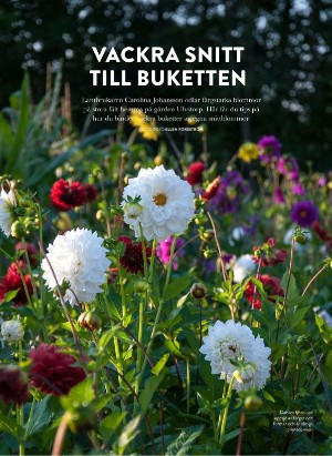 levaochbo-20210716_000_00_00_046.pdf