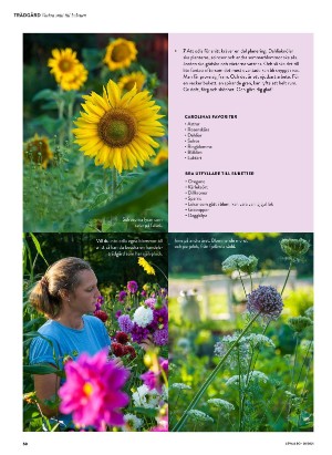 levaochbo-20210716_000_00_00_050.pdf