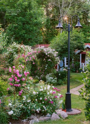 levaochbo-20210723_000_00_00_060.pdf