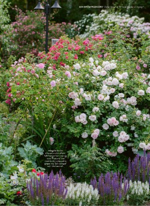 levaochbo-20210723_000_00_00_063.pdf