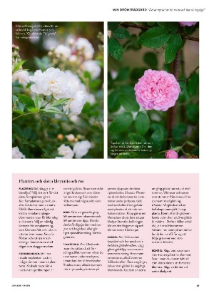 levaochbo-20210723_000_00_00_067.pdf