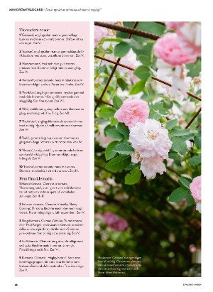 levaochbo-20210723_000_00_00_068.pdf