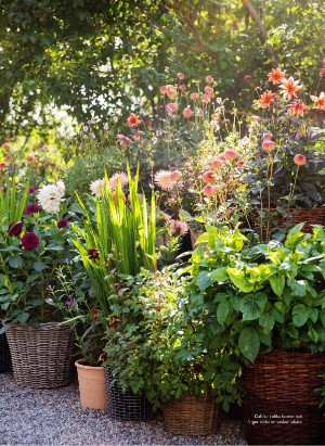 levaochbo-20210806_000_00_00_047.pdf