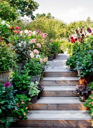 levaochbo-20210806_000_00_00_048.pdf