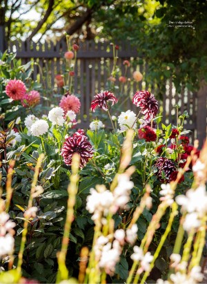 levaochbo-20210806_000_00_00_051.pdf