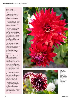 levaochbo-20210806_000_00_00_052.pdf