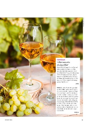 levaochbo-20210806_000_00_00_073.pdf