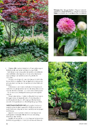 levaochbo-20210813_000_00_00_054.pdf