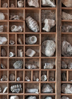 levaochbo-20210827_000_00_00_062.pdf