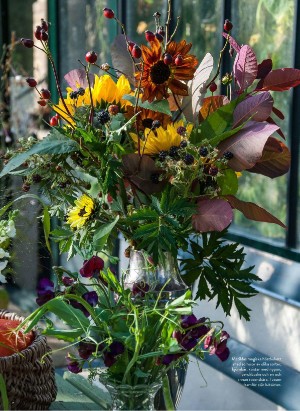 levaochbo-20210903_000_00_00_054.pdf