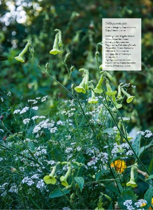 levaochbo-20210903_000_00_00_056.pdf