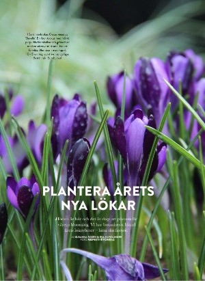 levaochbo-20210910_000_00_00_046.pdf