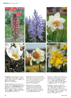 levaochbo-20210910_000_00_00_048.pdf