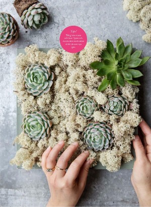 levaochbo-20210924_000_00_00_069.pdf